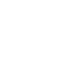 Dice